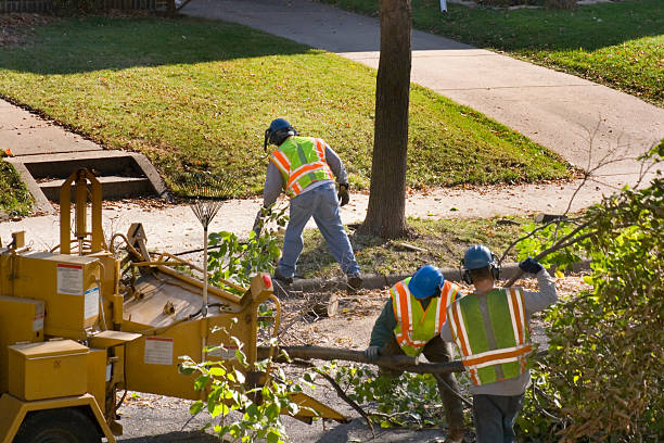 Best Firewood Processing and Delivery  in Geneva, OH